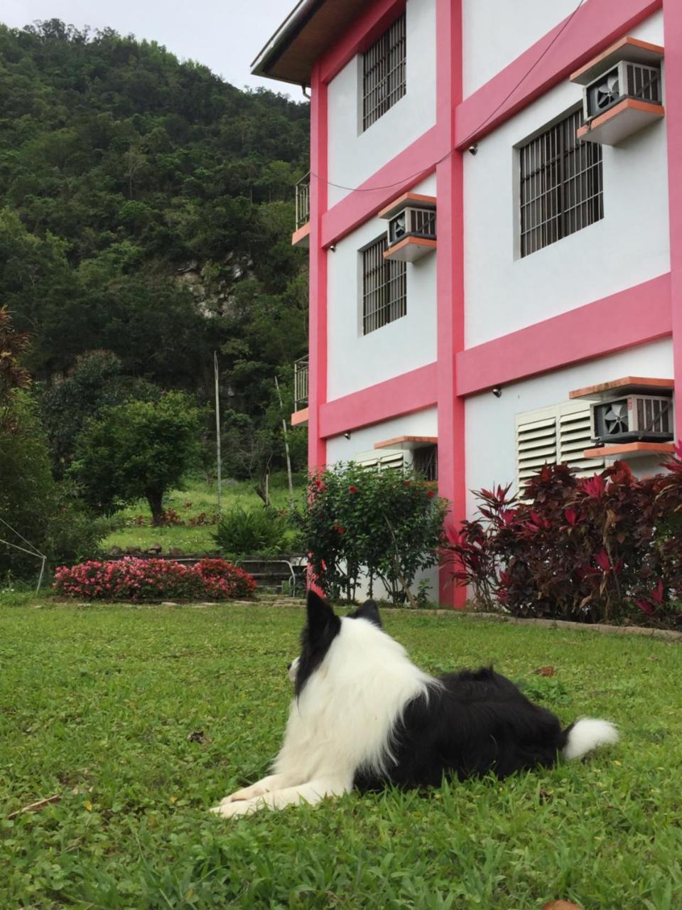 Moon B&B Wenquan Exterior foto